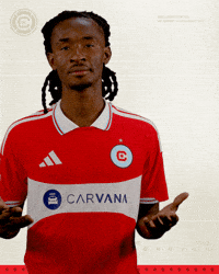 Chicago Fire What GIF by Chicago Fire Football Club
