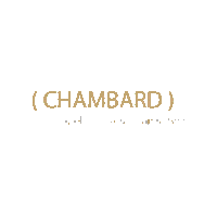 Logo Bateau Sticker by le chambard