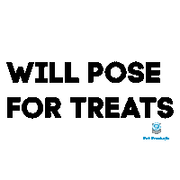 Dog Trainer Pose Sticker by Blue9PetProducts