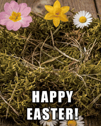 Happy Bunny GIF by Verne Robotaxi