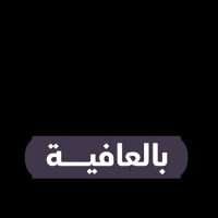 Coffee GIF by Visit Qatar