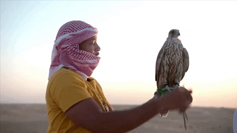 will smith facebook GIF by Will Smith's Bucket List