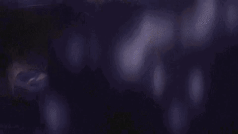 03uwu giphycreatortest GIF