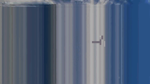 canekzapatap giphyupload GIF
