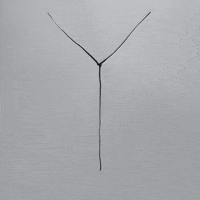 cedricdebled woman why cross y GIF