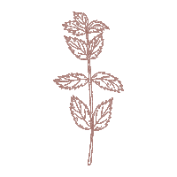 herb mint Sticker by Muetzenmafia