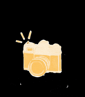 mariafrois camera photo foto yellow bee abelha GIF