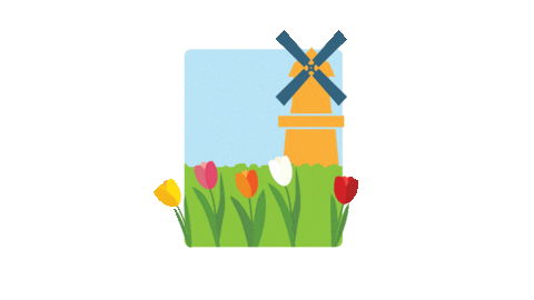 discoverhollandmi giphyupload hollandmi discoverhollandmi tuliptimehollandmi Sticker