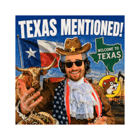 Texas Flag Sticker