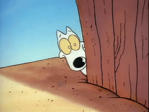 rockos modern life nicksplat GIF