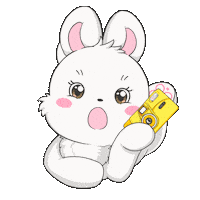 양양 Sticker