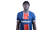 France Sport Sticker by Paris Saint-Germain Handball