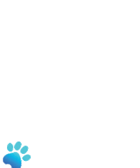 Paws Paw Prints Sticker by Nevada Humane Society