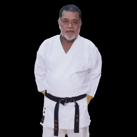 matsubayashi giphygifmaker zen karate dojo GIF