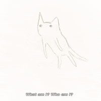 number two cat GIF by hoppip