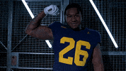 Go Blue GIF by Michigan Athletics