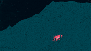 laurenthrybyk music party fire stars GIF