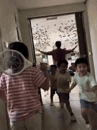 Electric Fly Swatter GIF