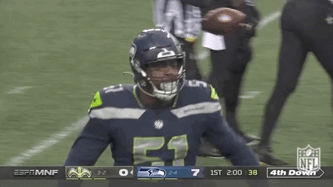 Seattle Seahawks Football GIF by NFL