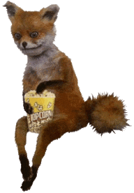 weird popcorn fox Sticker