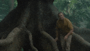 Paddington GIF by Studiocanal UK