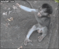 couple hug GIF