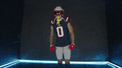 Football Celebration GIF by New England Patriots
