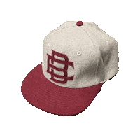 ElicitBrewing beer hat elicit elicit brewing Sticker