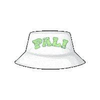 Summer Camp Education Sticker by Pali Institute