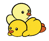 DuckieandDuck love couple duck hehe Sticker