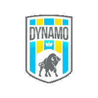 Dpfc Sticker by FSDK