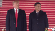 zheng zhi GIF