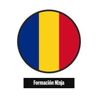 Romania Flag Sticker by Formación Ninja