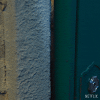 Hide And Seek Hiding GIF by NETFLIX