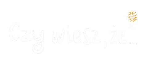 Wiedza Sticker