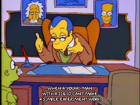 Season 1 GIF by The Simpsons