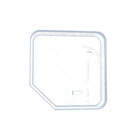 Spirit Bmx Sticker by RFORCE8