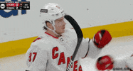 Ice Hockey Hug GIF by NHL
