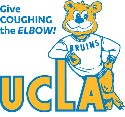 sakolacme giphyupload GIF