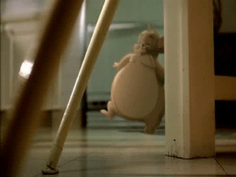 fat mouse GIF