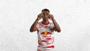 Football Sport GIF by RB Leipzig
