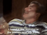the mystery files of shelby woo nicksplat GIF