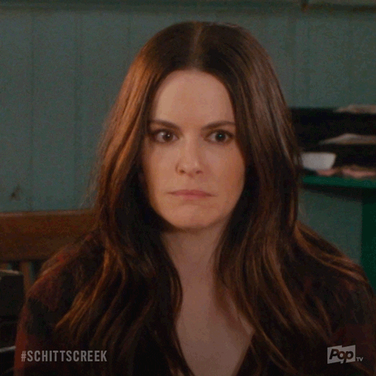 pop tv no GIF by Schitt's Creek