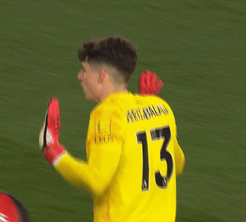 Premier League Football GIF by AFC Bournemouth