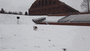 Happy Butler Bulldogs GIF by Butler University