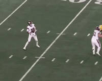 Green Bay Packers GIF