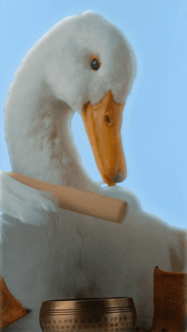 Summer Vibes GIF by Aflac Duck
