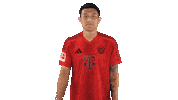 Fc Bayern Hello Sticker by Bundesliga