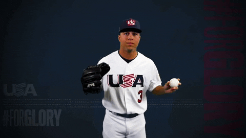 Pro GIF by USA Baseball