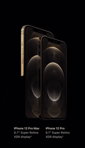 harrrlz giphygifmaker giphygifmakermobile iphone 12 max pro GIF